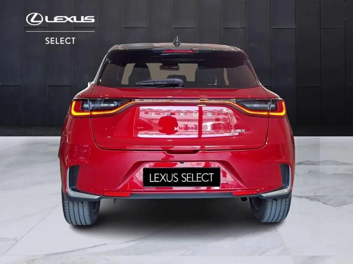 Lexus LBX usata a Torino (4)