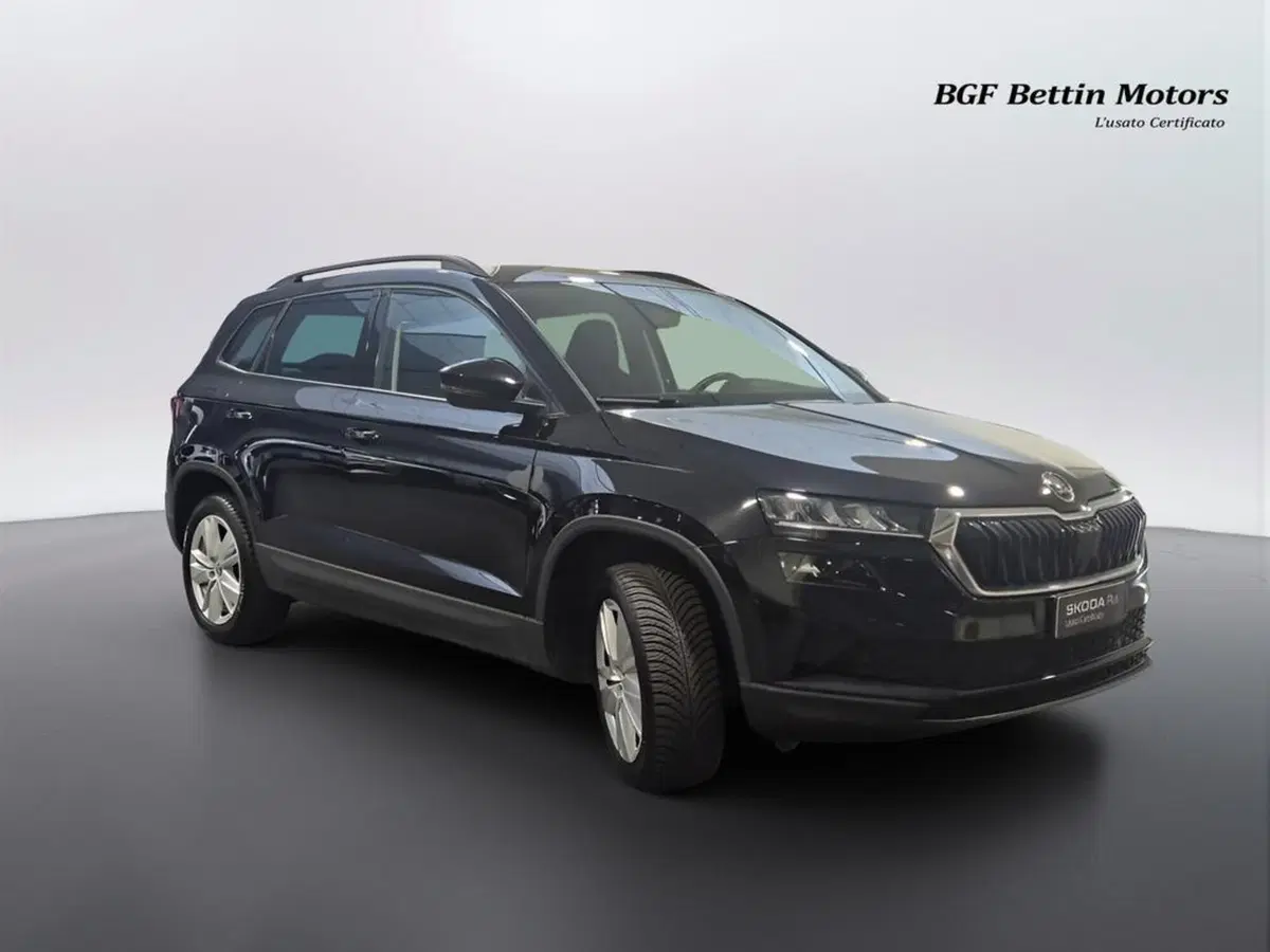 Skoda Karoq usata a Padova (6)