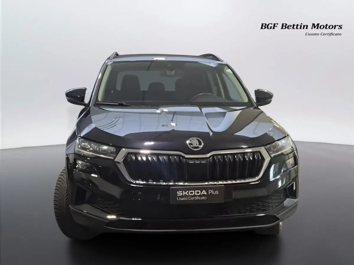 Skoda Karoq usata a Padova (7)
