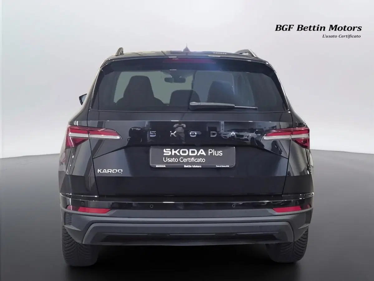 Skoda Karoq usata a Padova (8)
