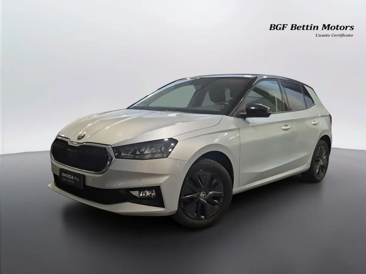 Skoda Fabia usata a Padova