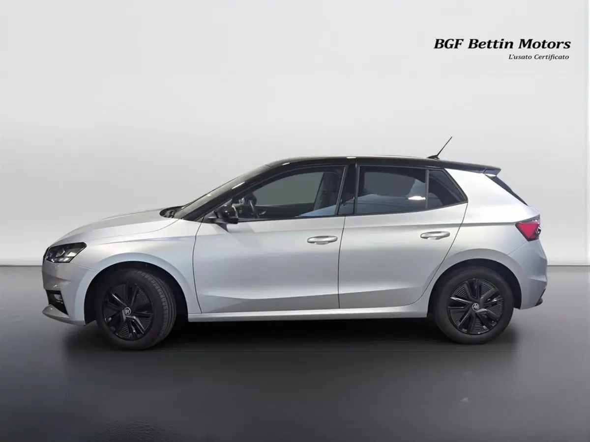 Skoda Fabia usata a Padova (2)