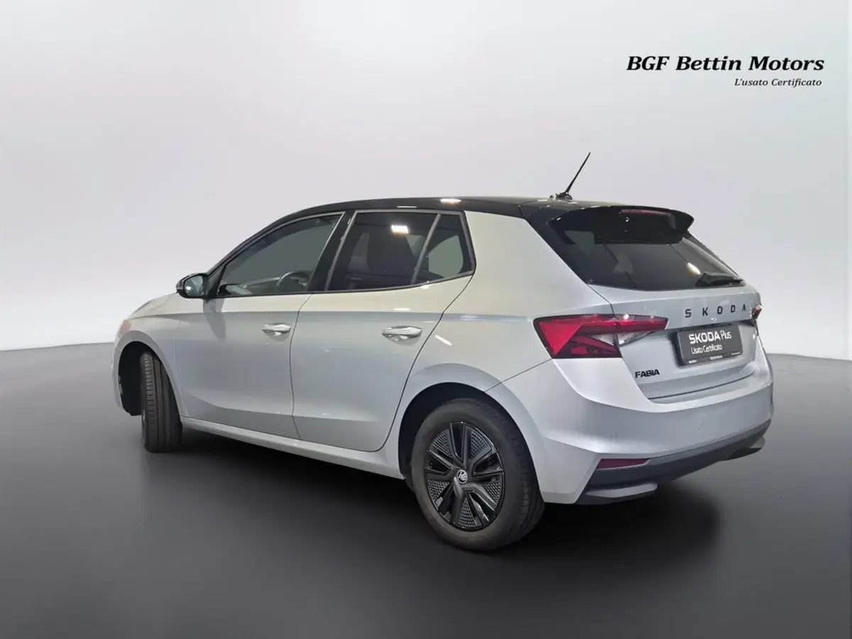 Skoda Fabia usata a Padova (3)