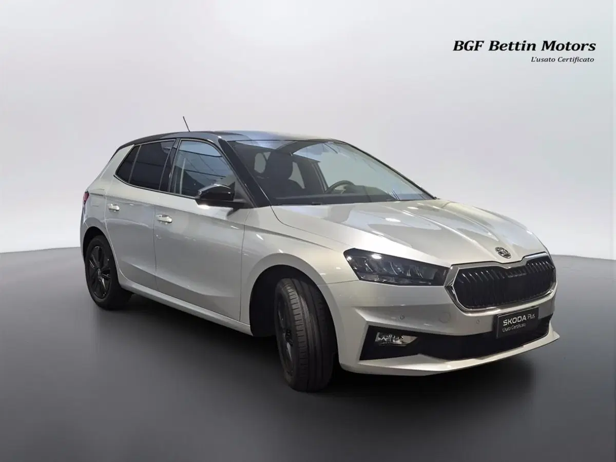 Skoda Fabia usata a Padova (4)