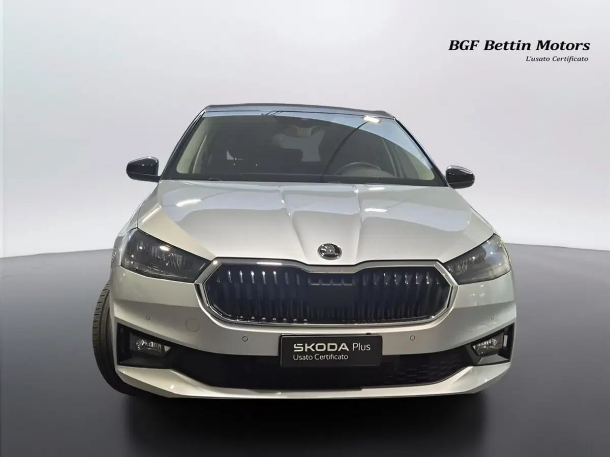 Skoda Fabia usata a Padova (7)