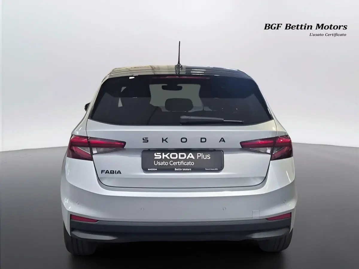 Skoda Fabia usata a Padova (8)