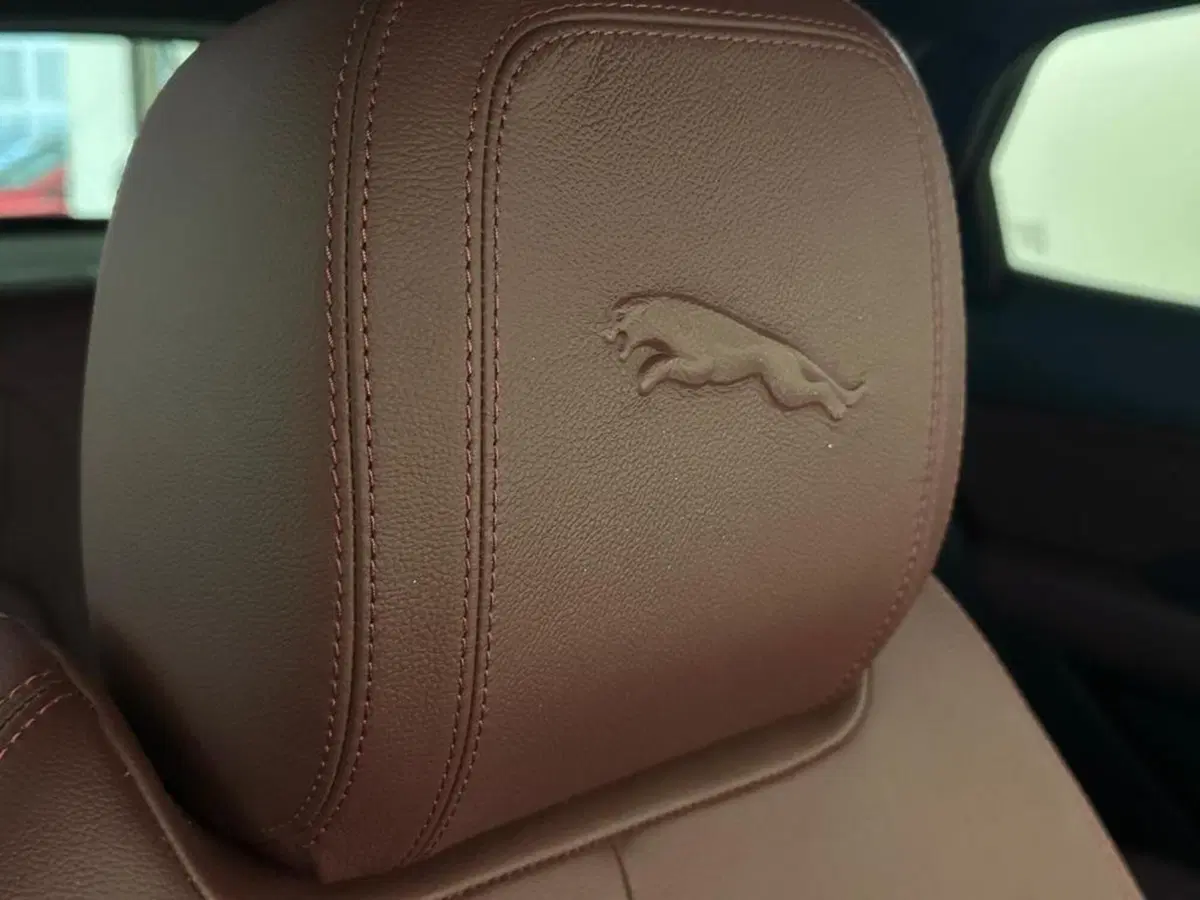 Jaguar E-Pace usata a Varese (15)