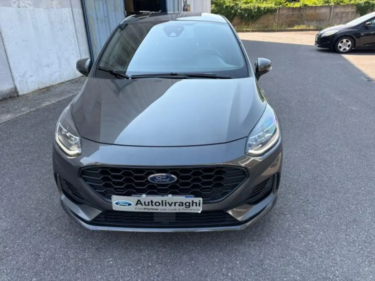 Ford Fiesta usata a Lodi (2)