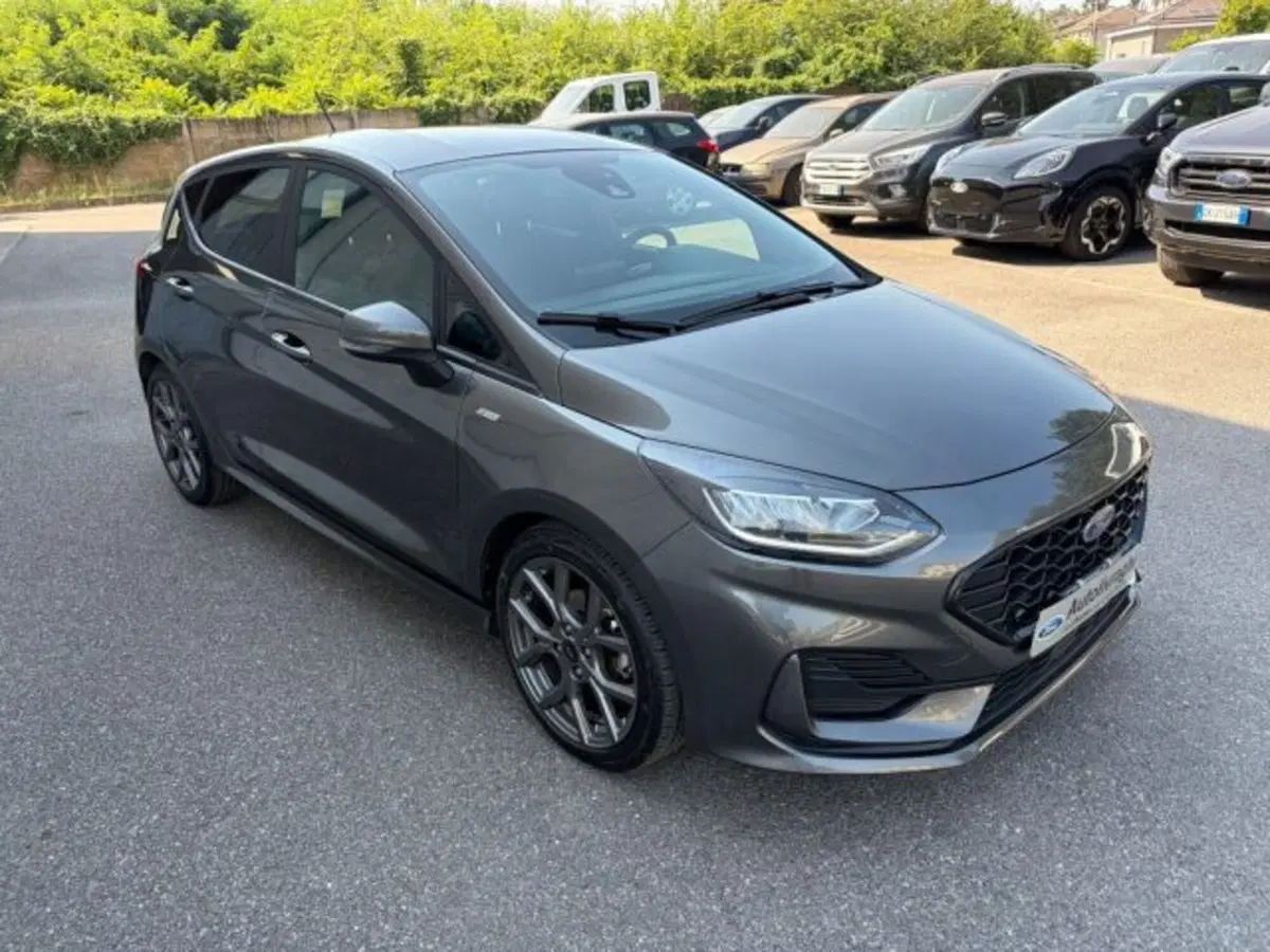 Ford Fiesta usata a Lodi (3)