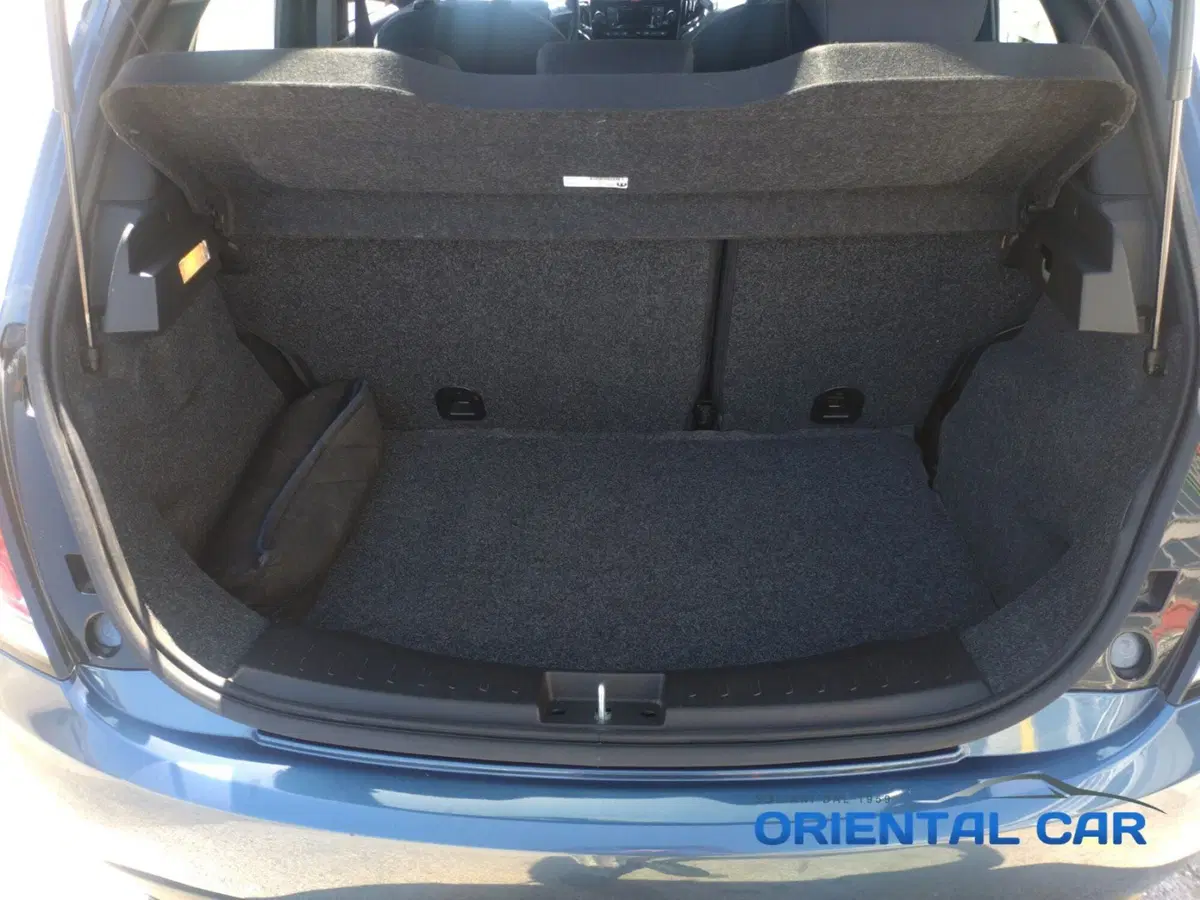 Lancia Ypsilon usata a La Spezia (14)