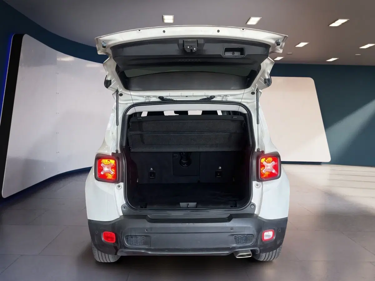 Jeep Renegade usata a Torino (7)