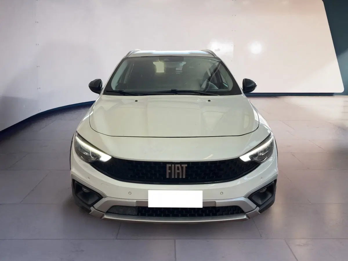 Fiat Tipo usata a Torino