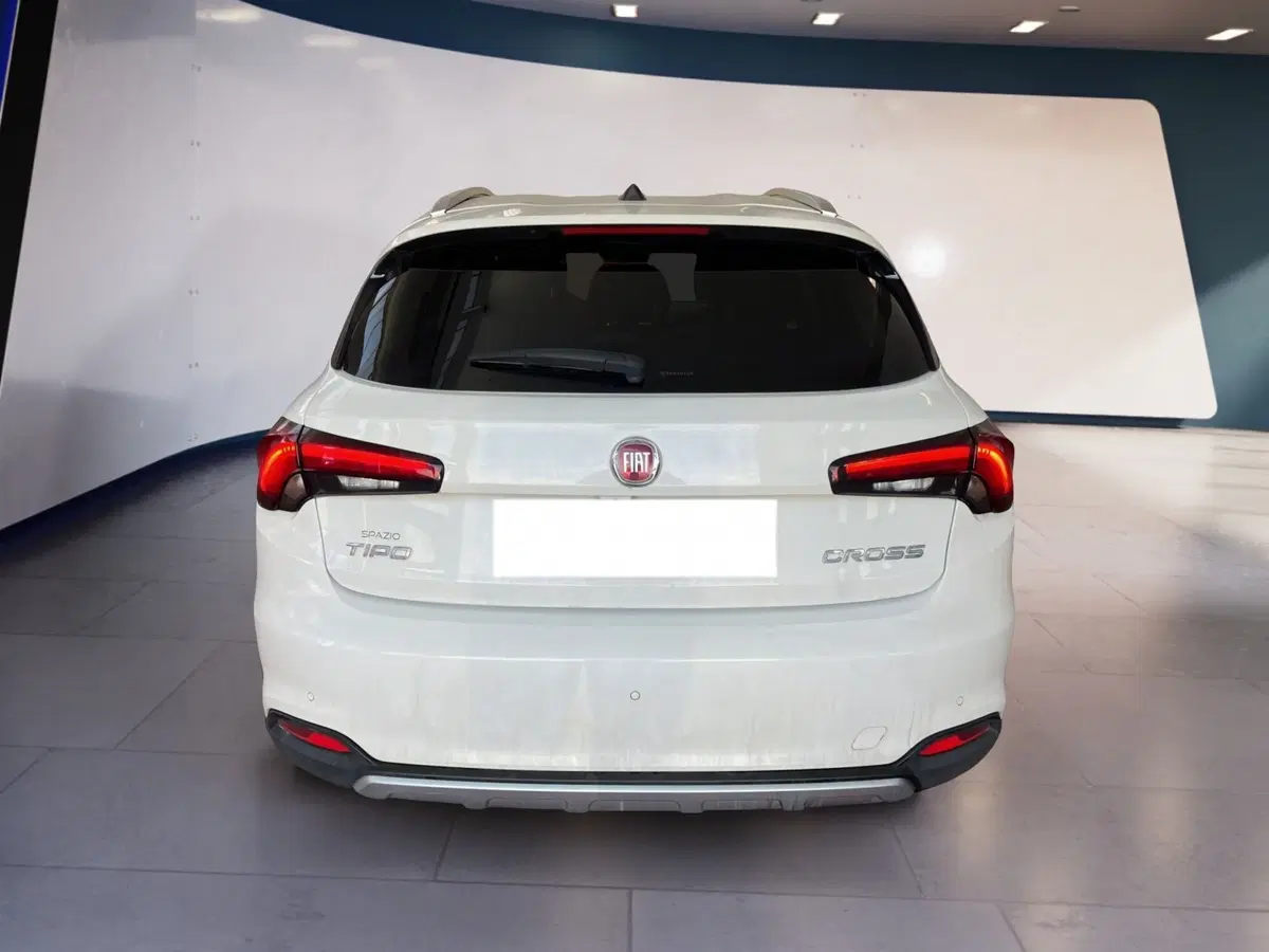 Fiat Tipo usata a Torino (5)