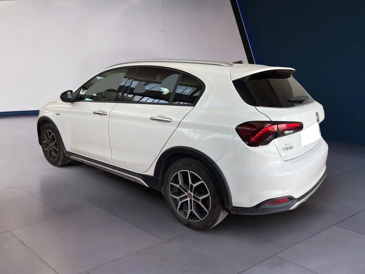 Fiat Tipo usata a Torino (6)
