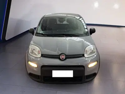 Fiat Panda Cross Cross 1.0 FireFly S&amp;S Hybrid del 2022 usata a Torino