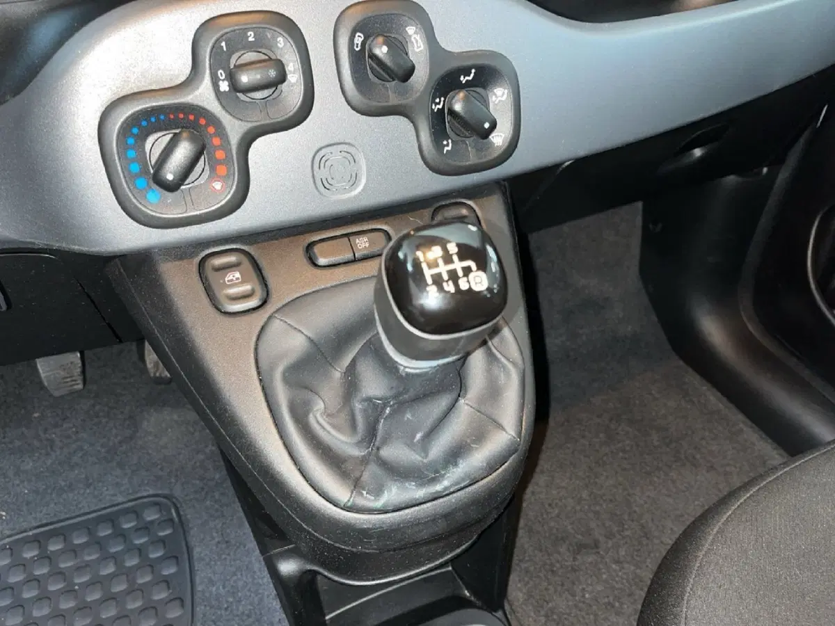 Fiat Panda Cross usata a Torino (11)