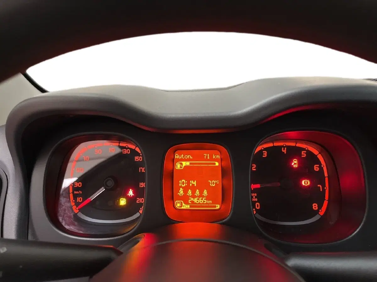 Fiat Panda Cross usata a Torino (13)