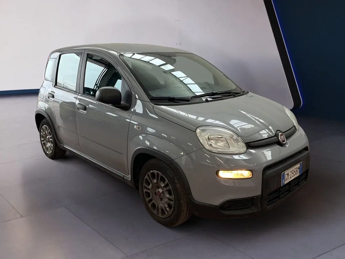 Fiat Panda Cross usata a Torino (2)