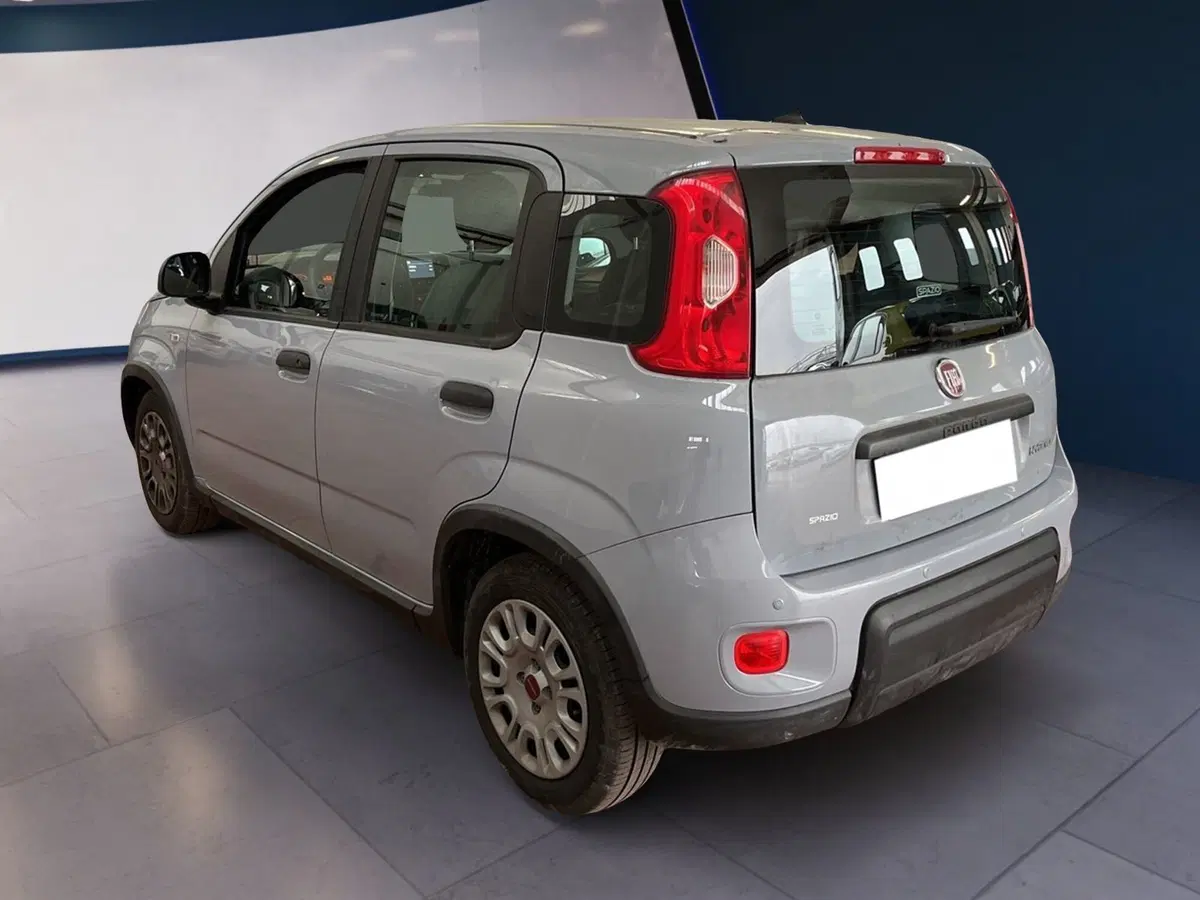Fiat Panda Cross usata a Torino (4)