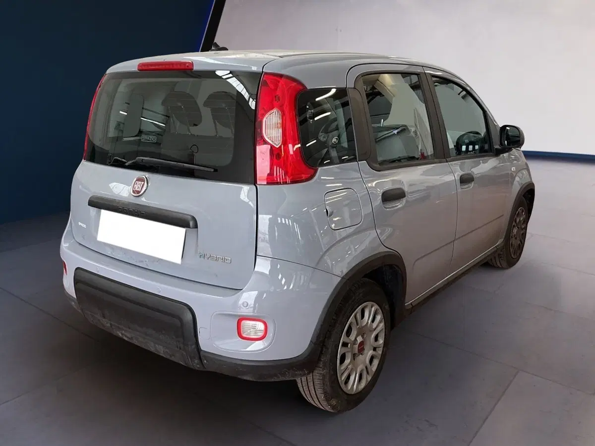 Fiat Panda Cross usata a Torino (6)