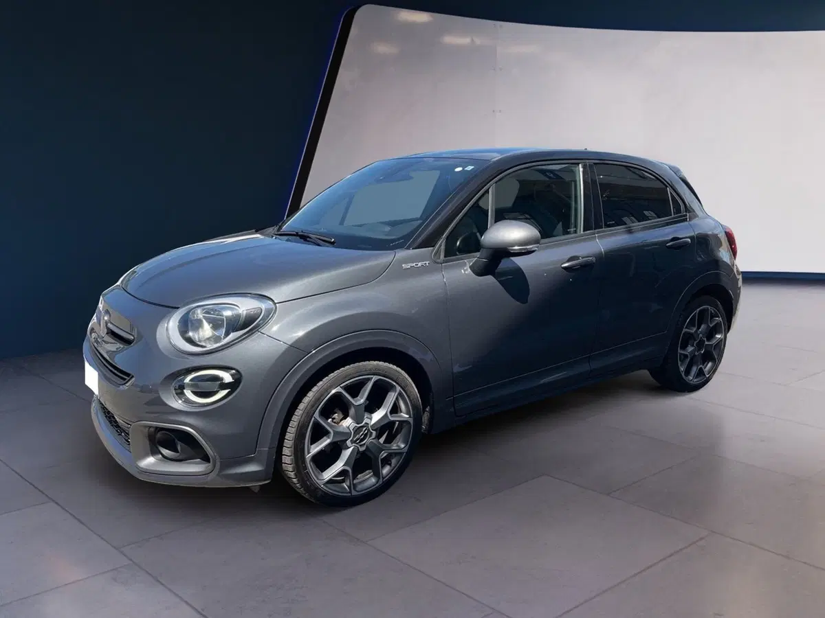 Fiat 500X usata a Torino (3)