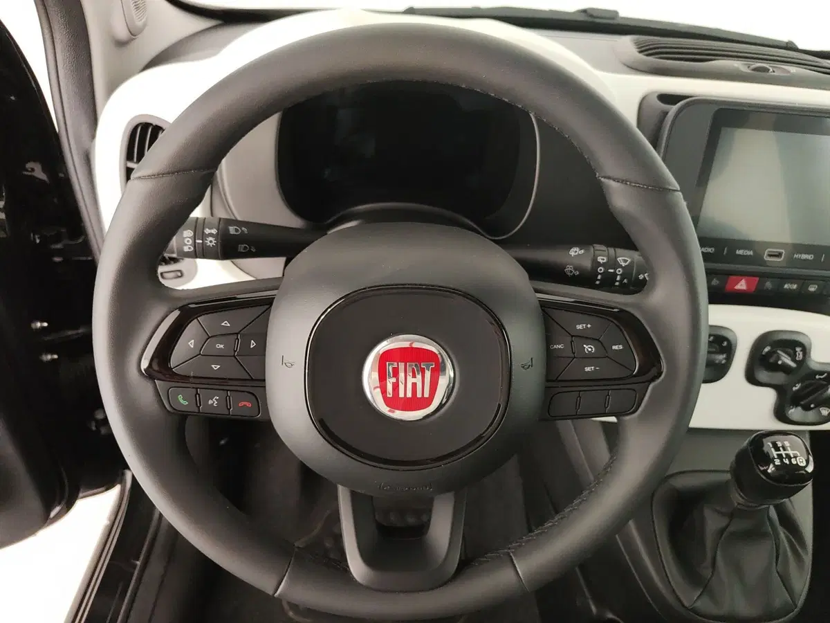 Fiat Pandina usata a Caserta (16)