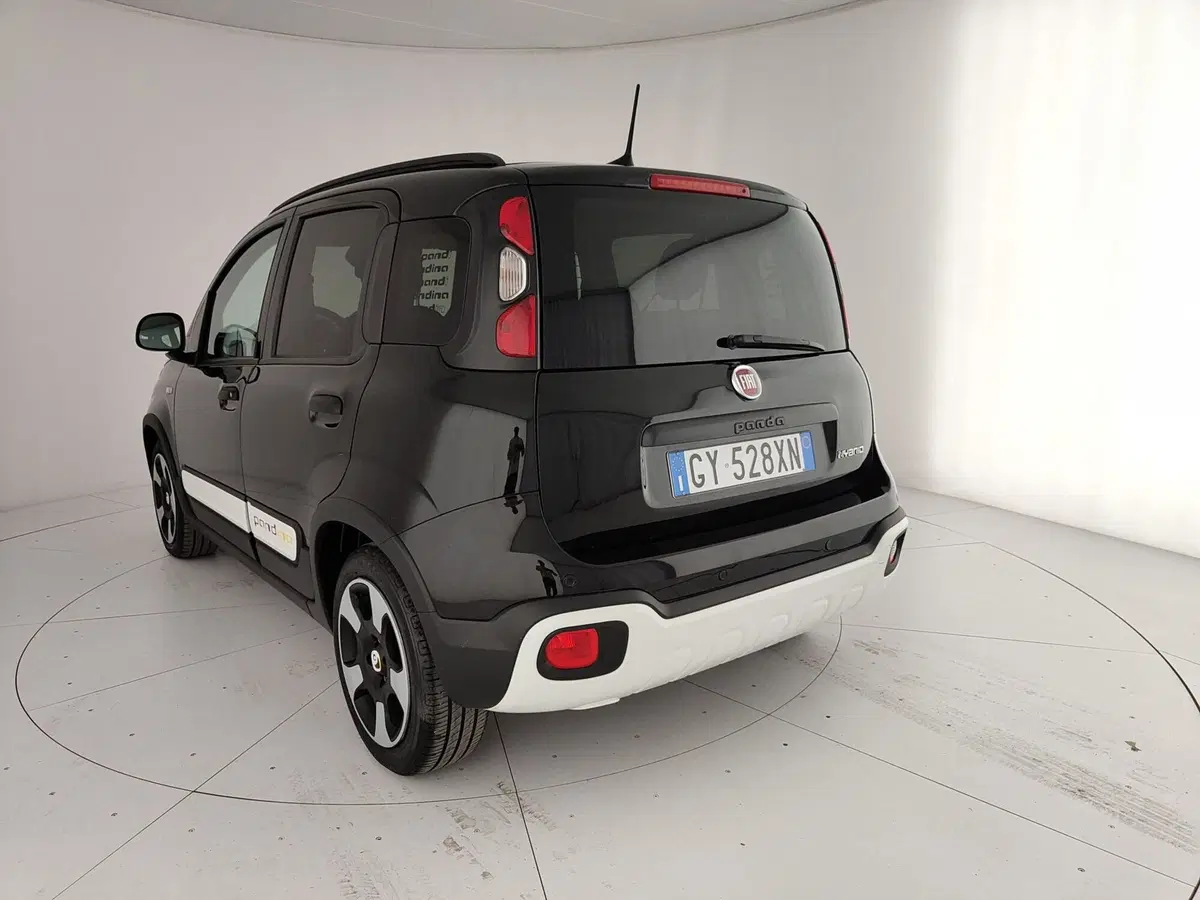 Fiat Pandina usata a Caserta (9)