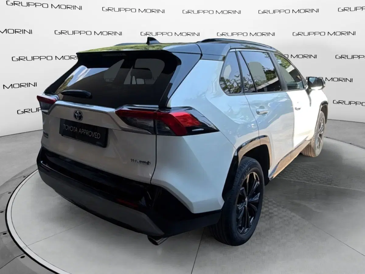 Toyota Rav4 usata a Bologna (5)