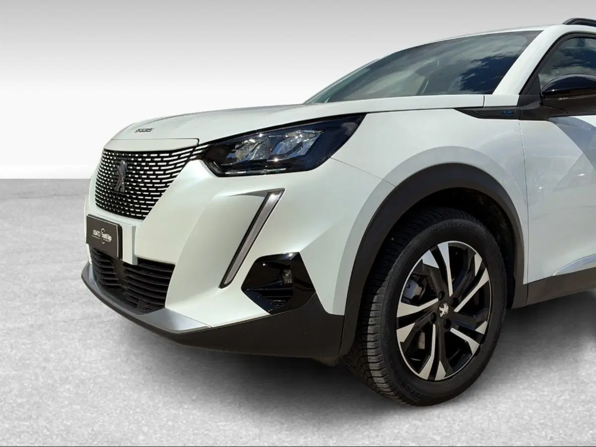 Peugeot 2008 usata a Firenze (15)