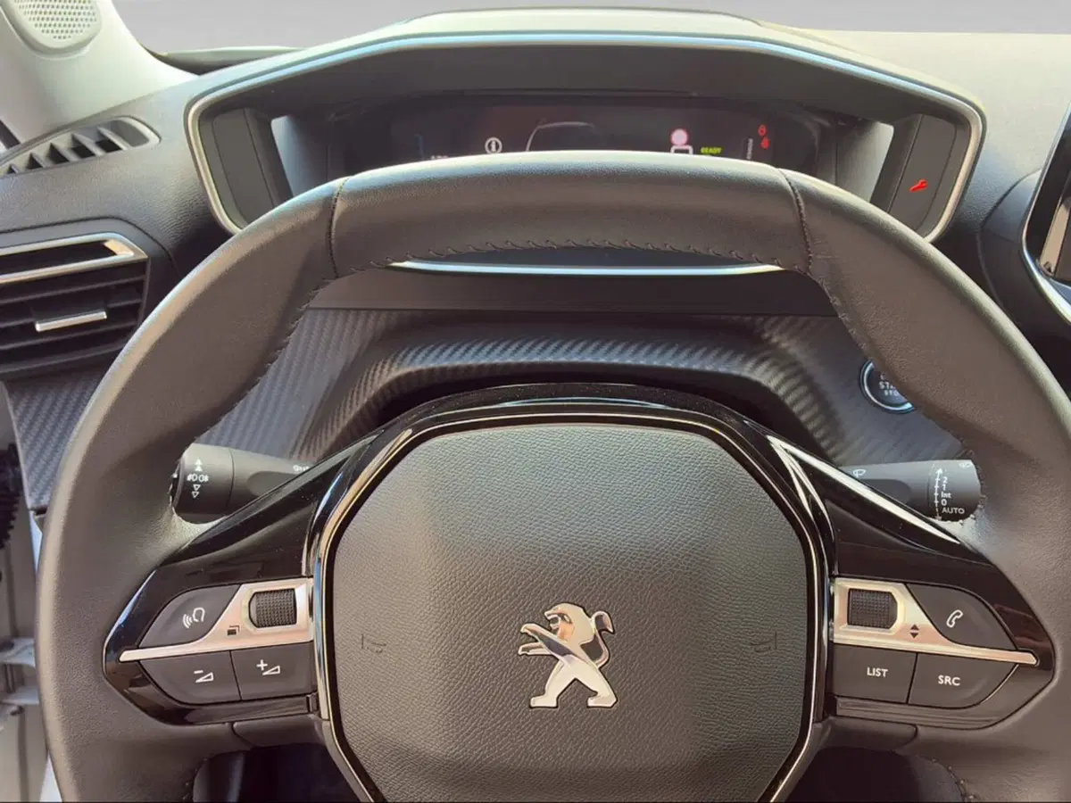 Peugeot 2008 usata a Firenze (7)