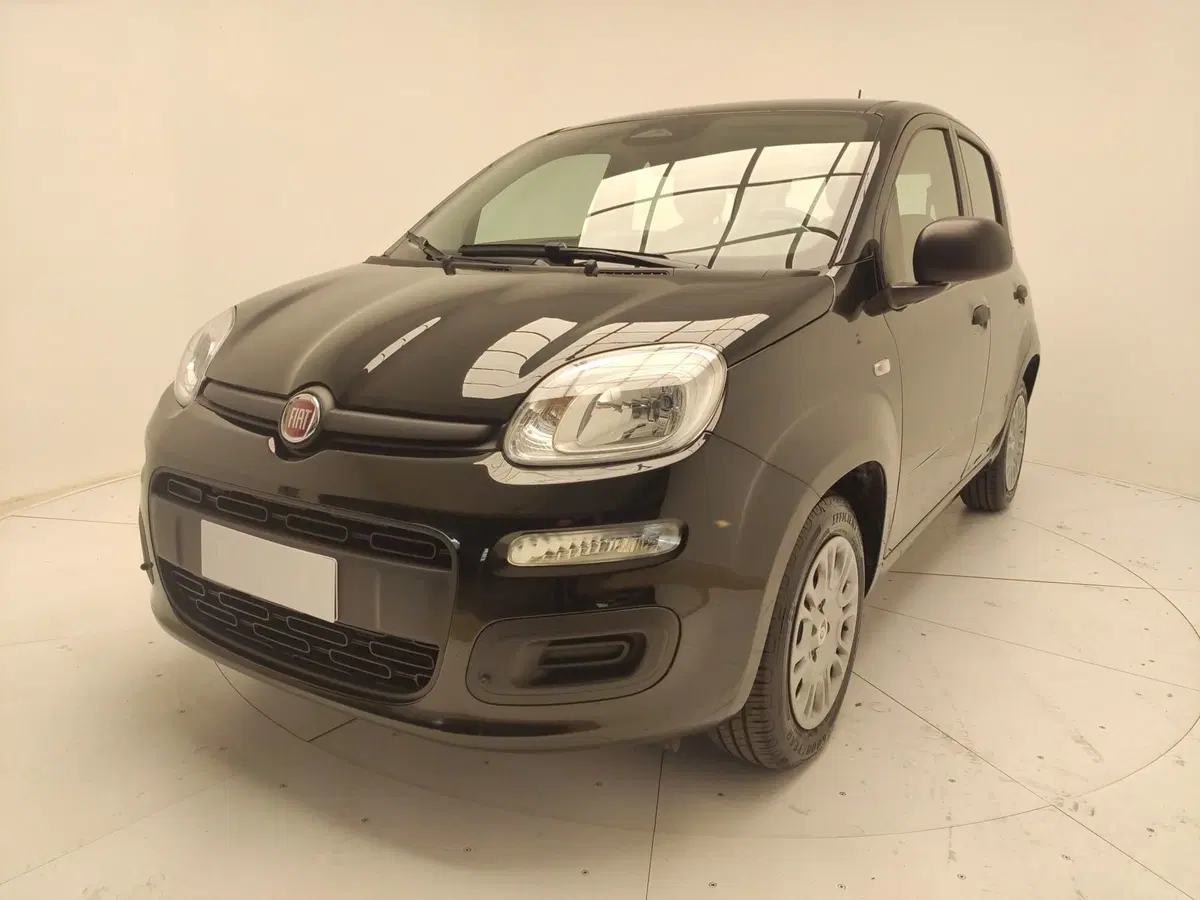 Fiat Panda Cross usata a Avellino (10)