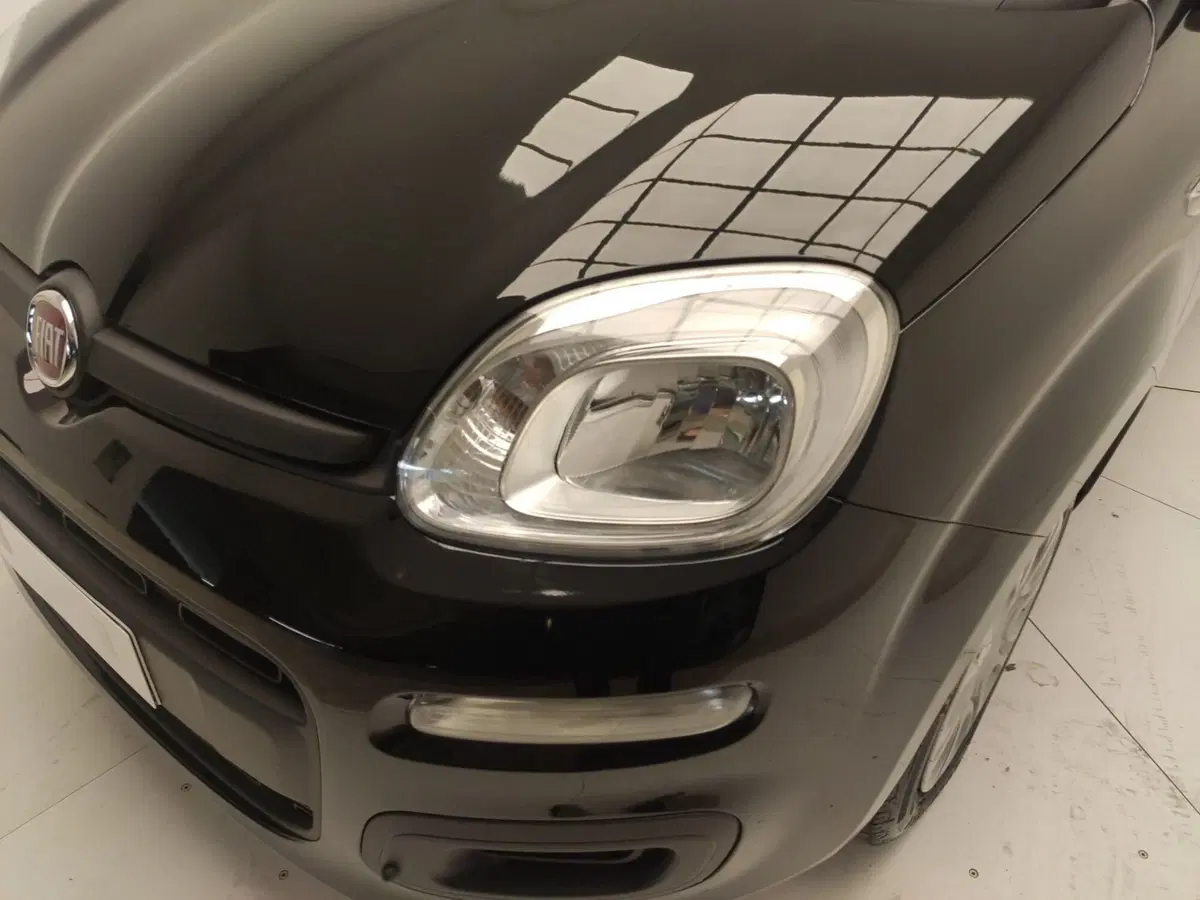 Fiat Panda Cross usata a Avellino (11)