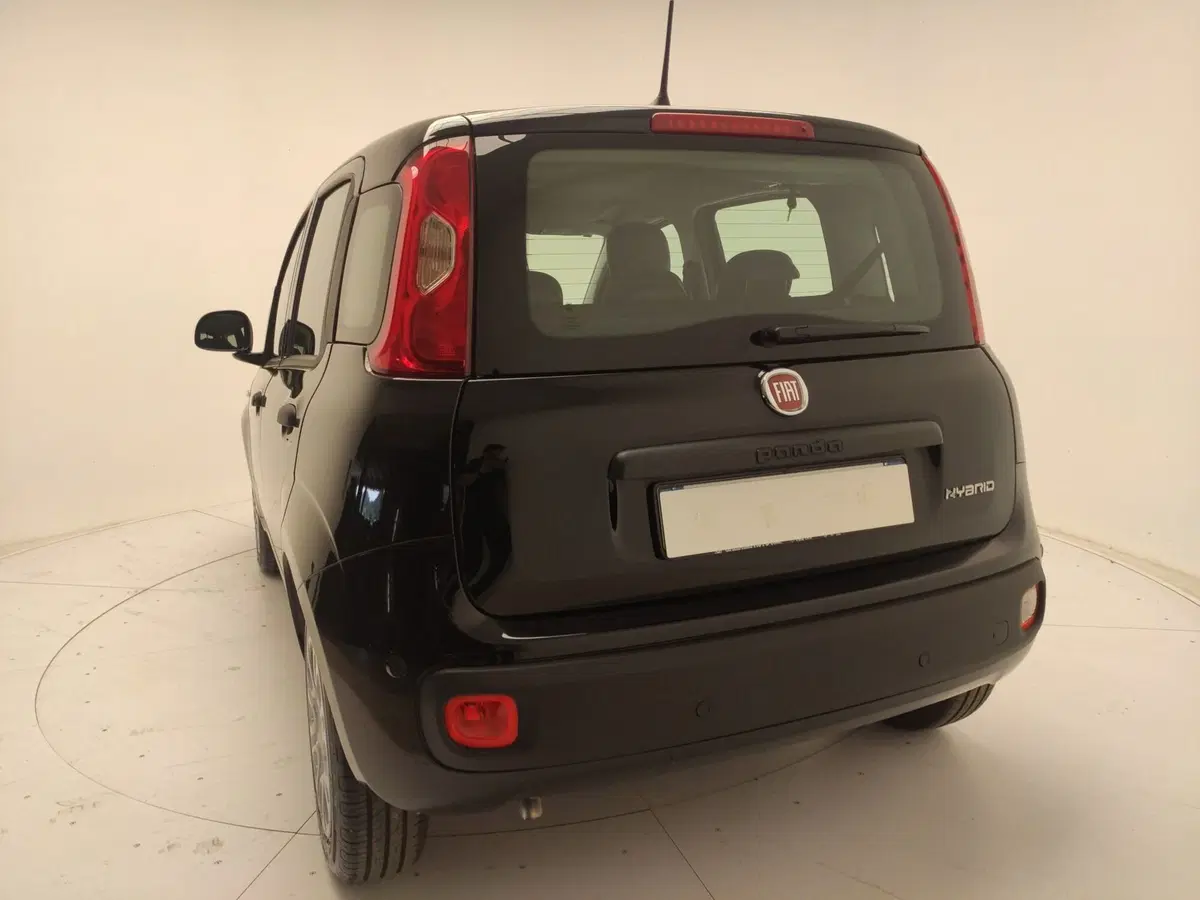 Fiat Panda Cross usata a Avellino (13)