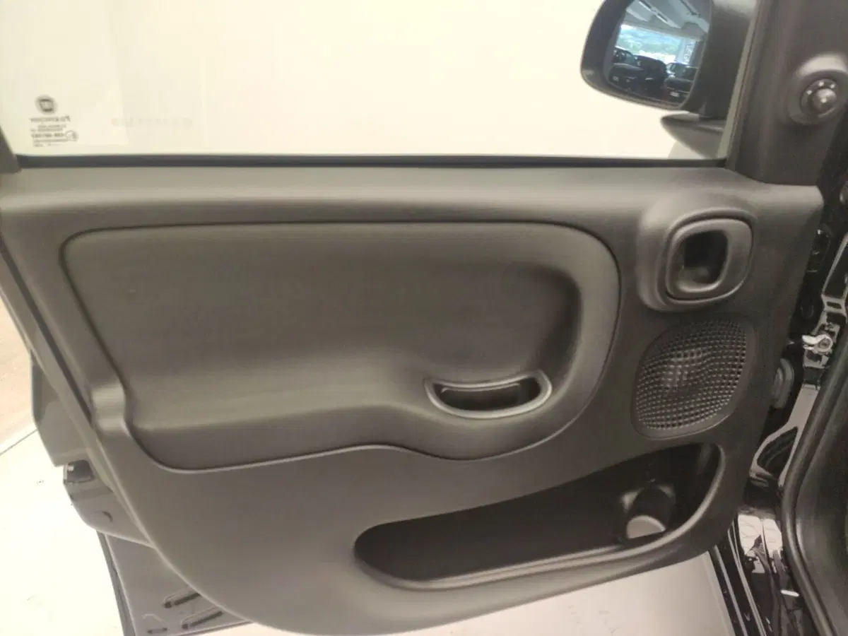 Fiat Panda Cross usata a Avellino (15)