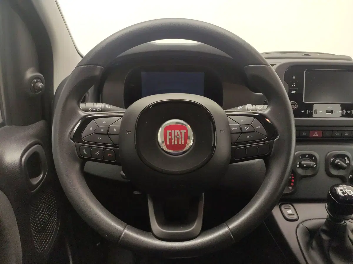 Fiat Panda Cross usata a Avellino (18)