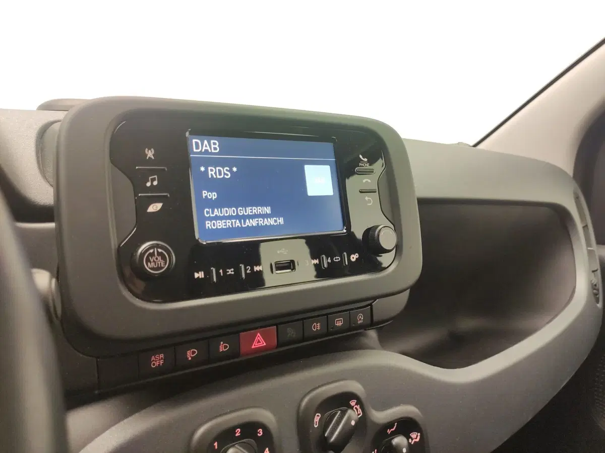 Fiat Panda Cross usata a Avellino (20)