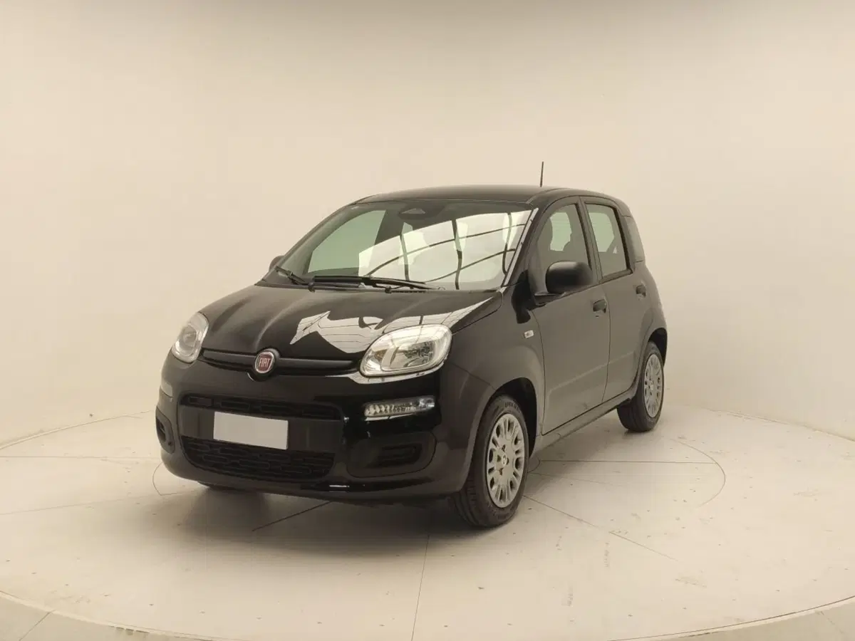 Fiat Panda Cross usata a Avellino (3)