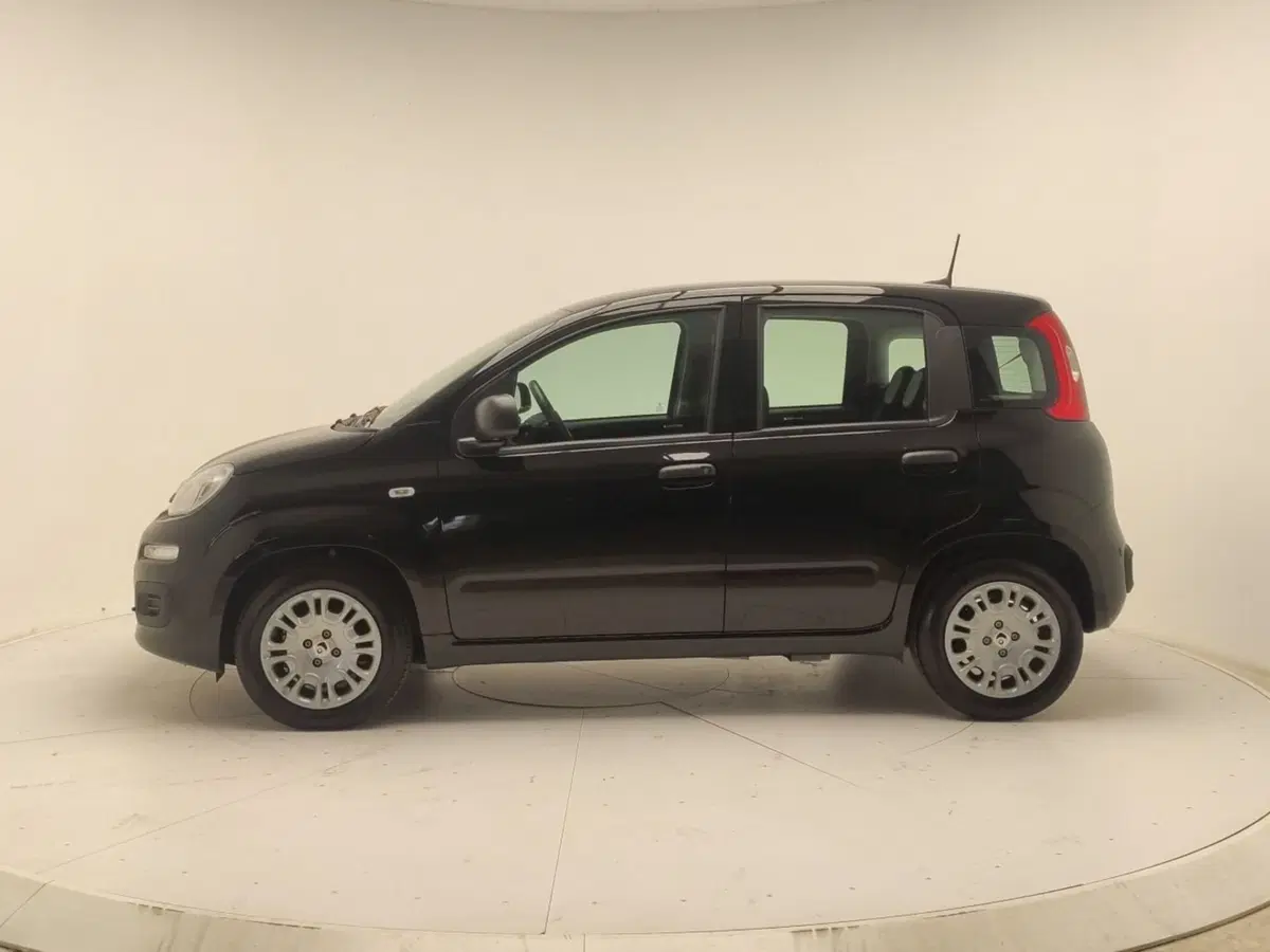 Fiat Panda Cross usata a Avellino (4)
