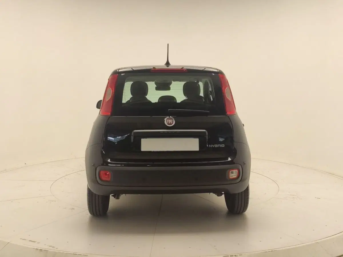 Fiat Panda Cross usata a Avellino (6)