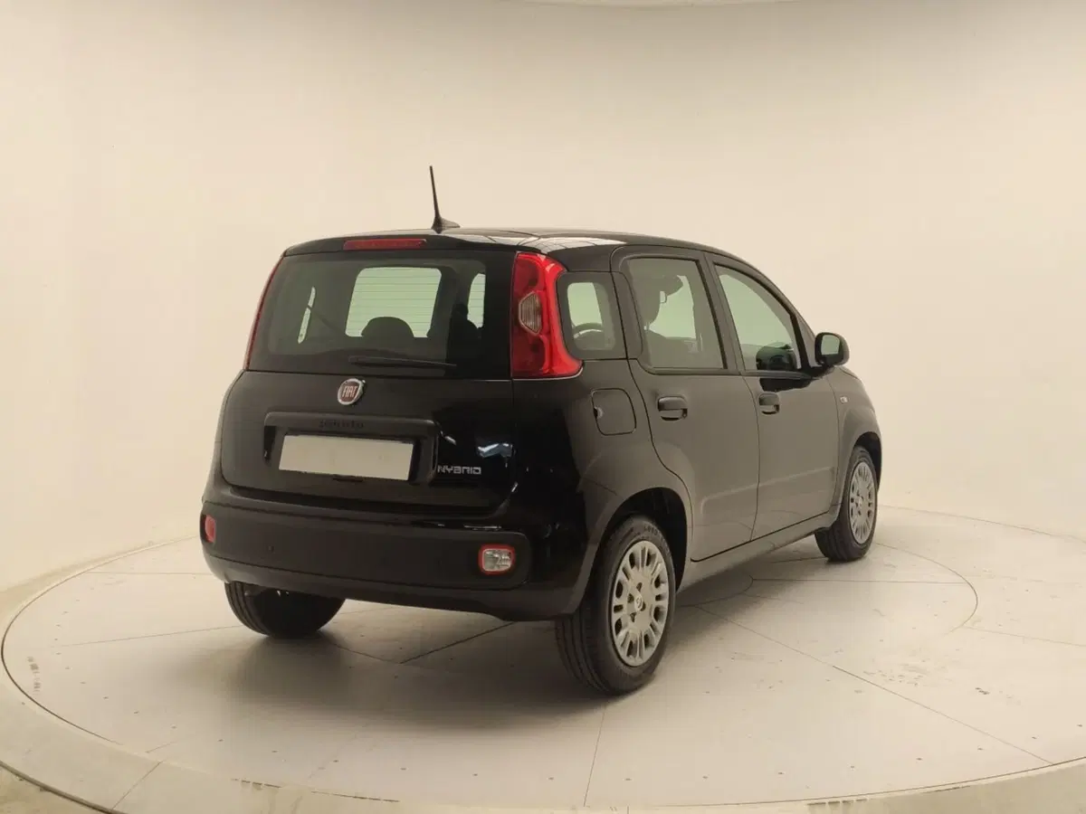 Fiat Panda Cross usata a Avellino (7)