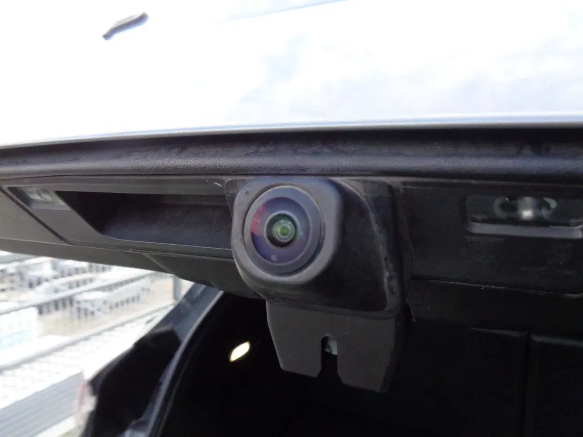 Ford Puma usata a Belluno (19)