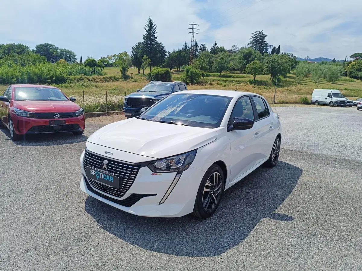 Peugeot 208 usata a Pistoia