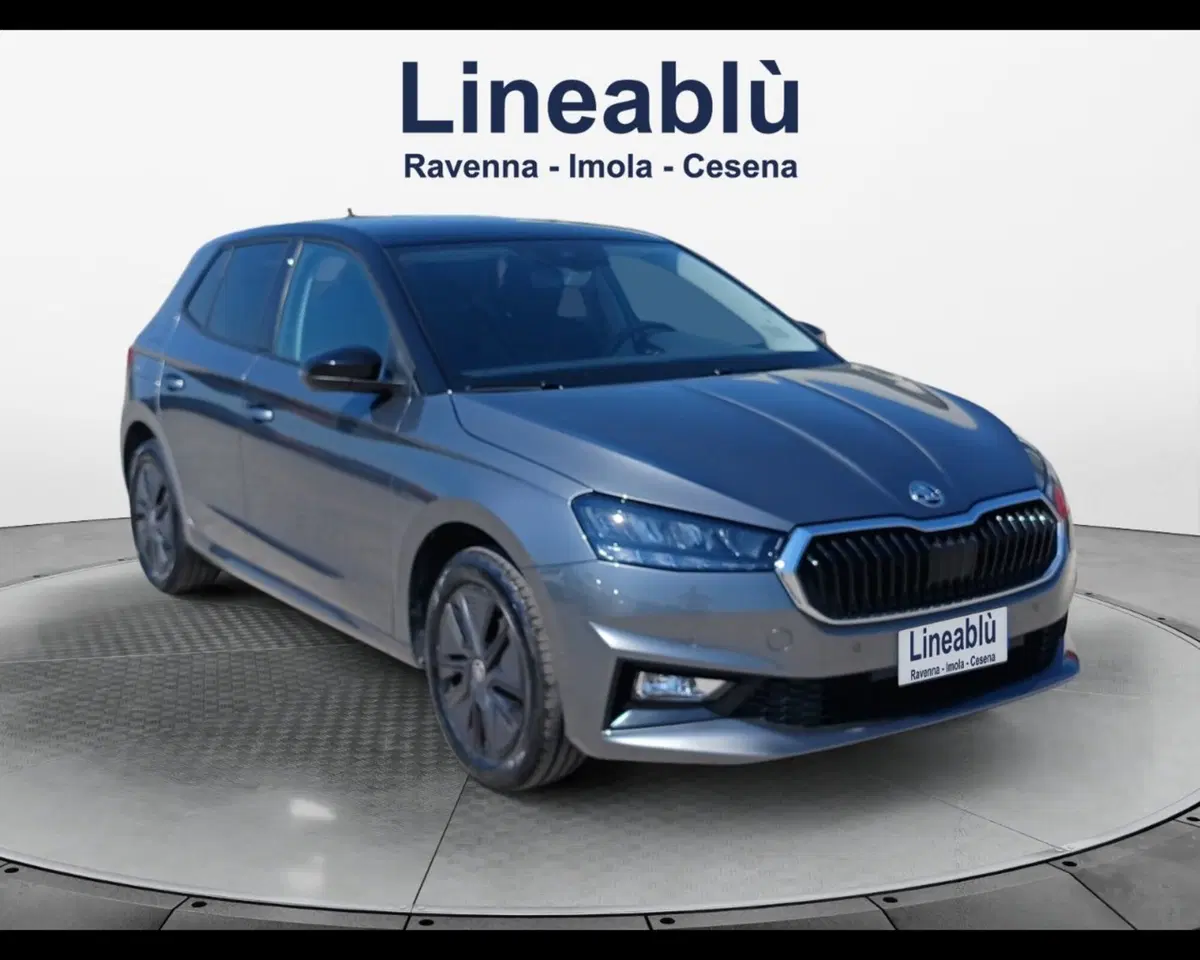 Skoda Fabia usata a Ravenna (7)