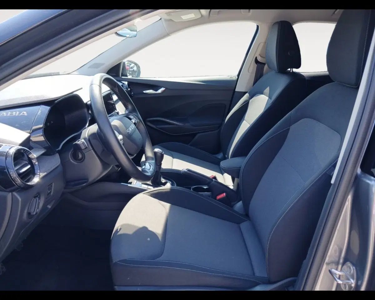 Skoda Fabia usata a Ravenna (9)