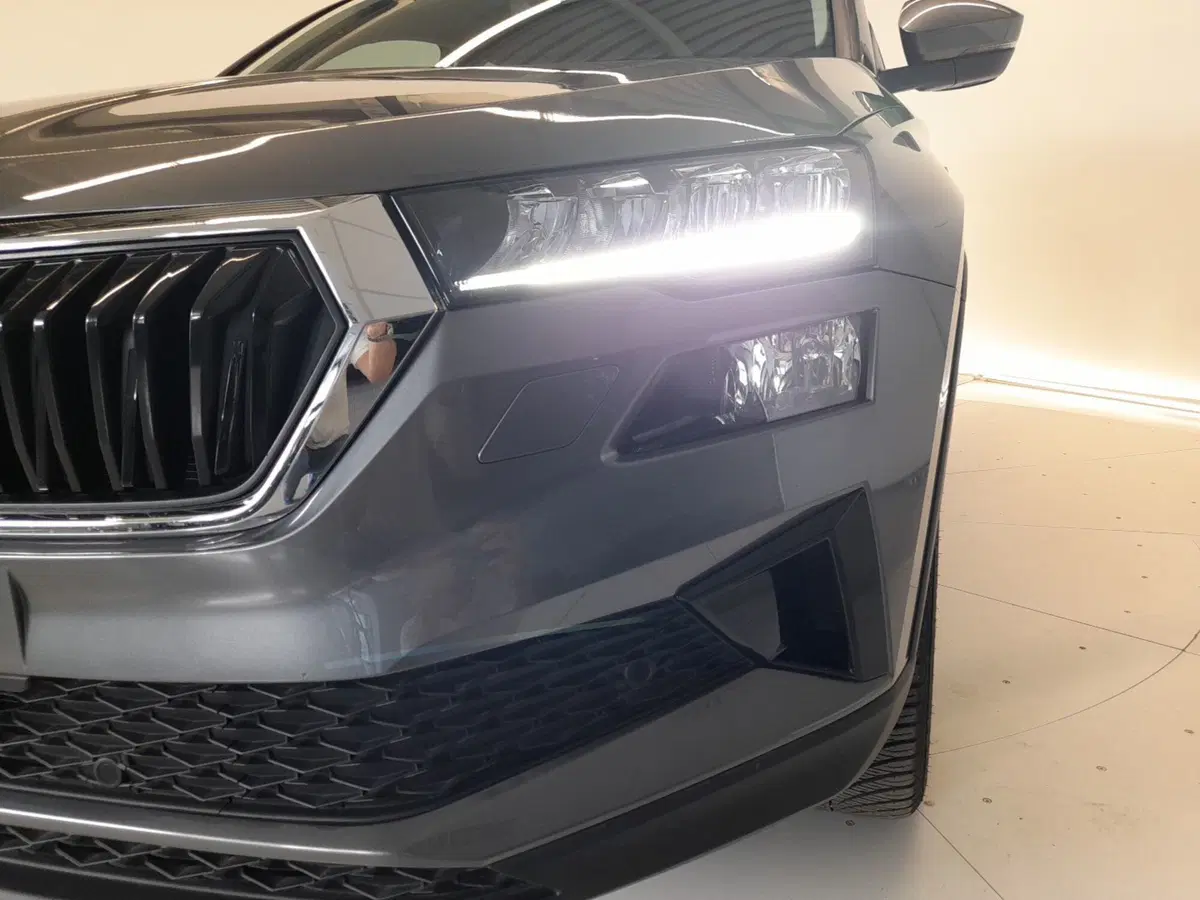 Skoda Karoq usata a Bologna (7)