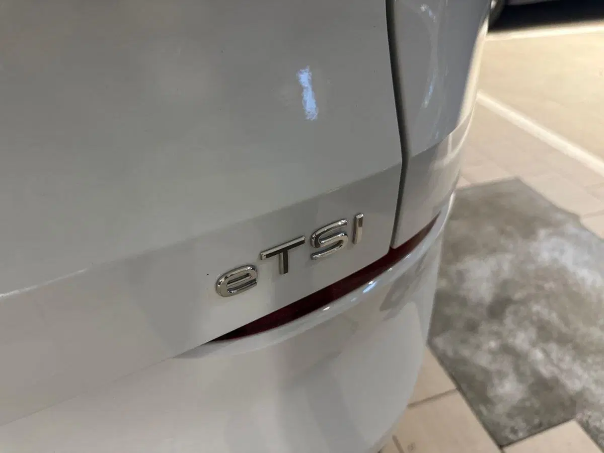 Volkswagen T-Roc usata a Prato (19)