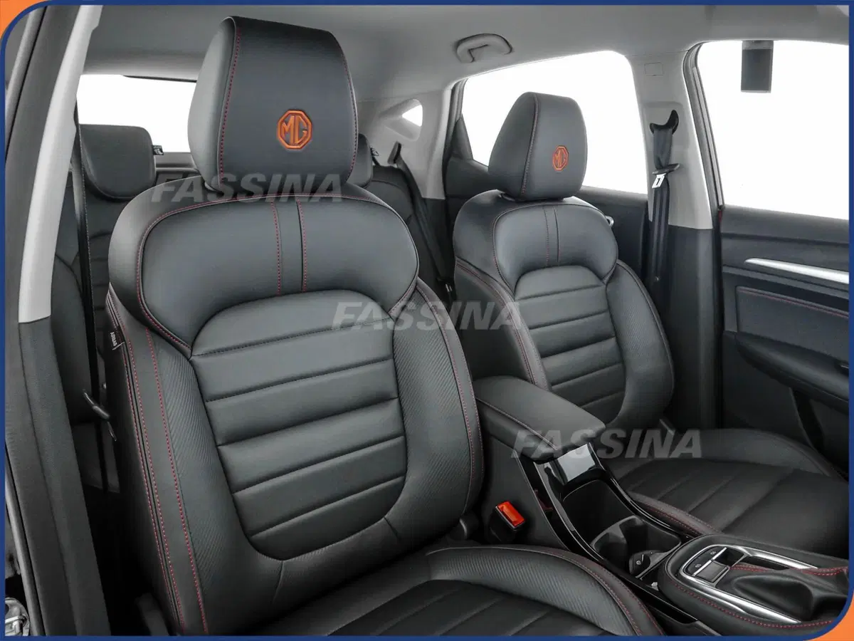 Mg ZS usata a Milano (13)