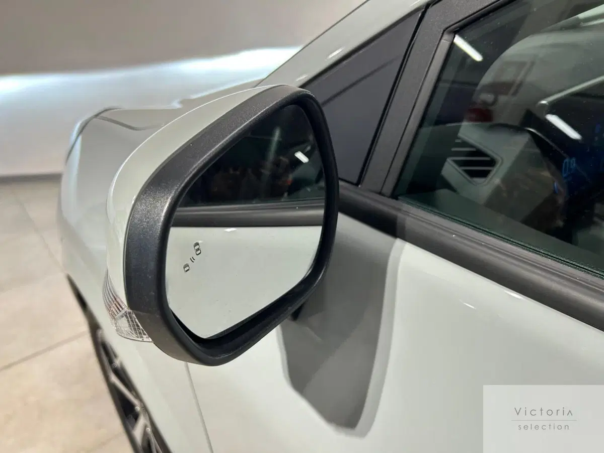 Ford Puma usata a Brescia (8)