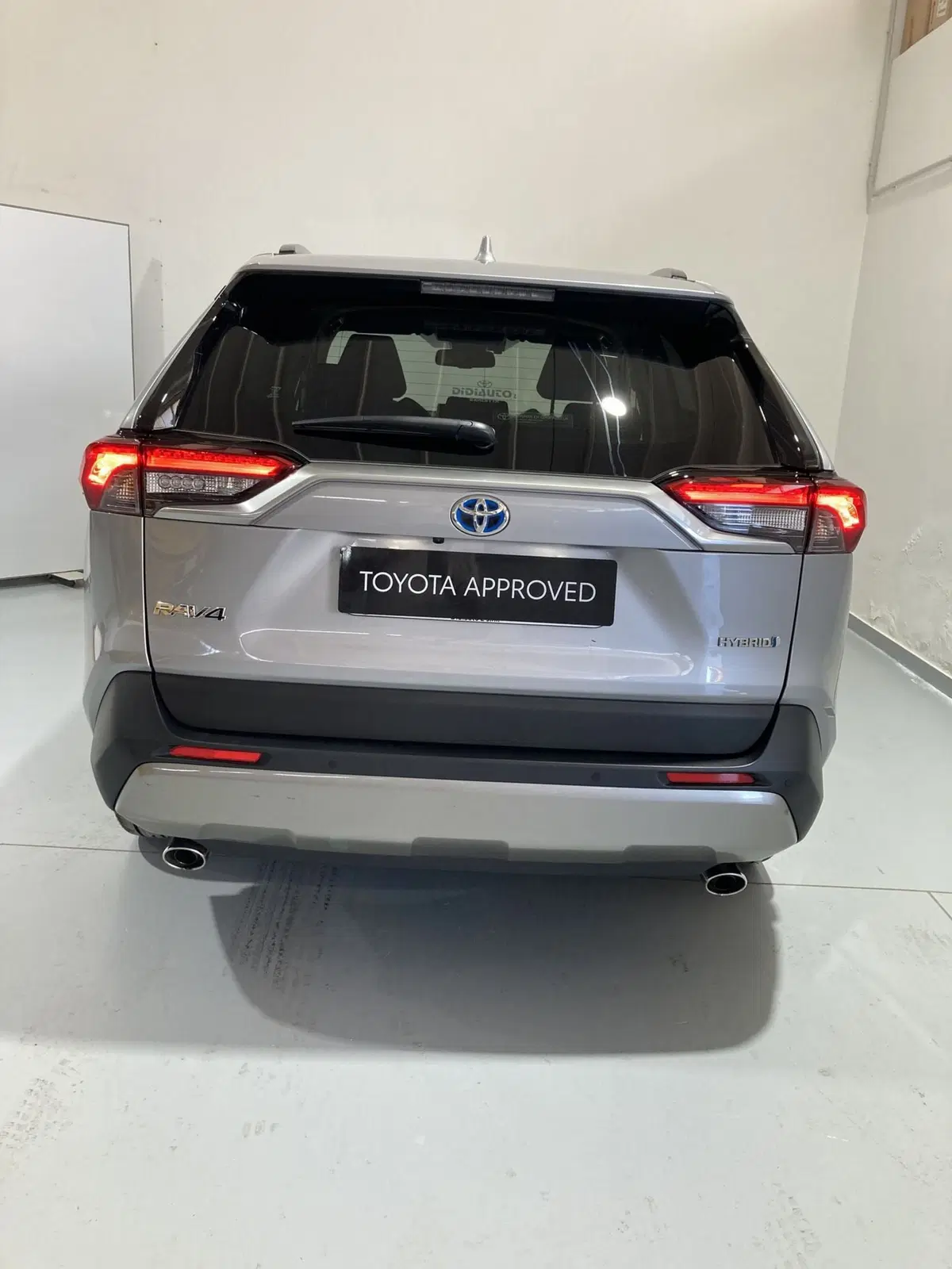 Toyota Rav4 usata a Barletta-Andria-Trani (6)
