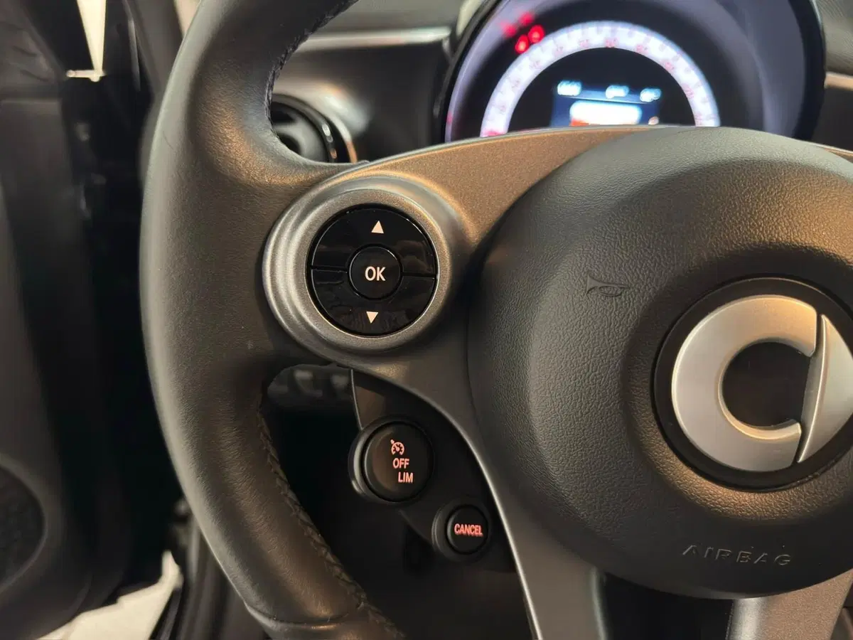 smart Fortwo usata a Novara (18)